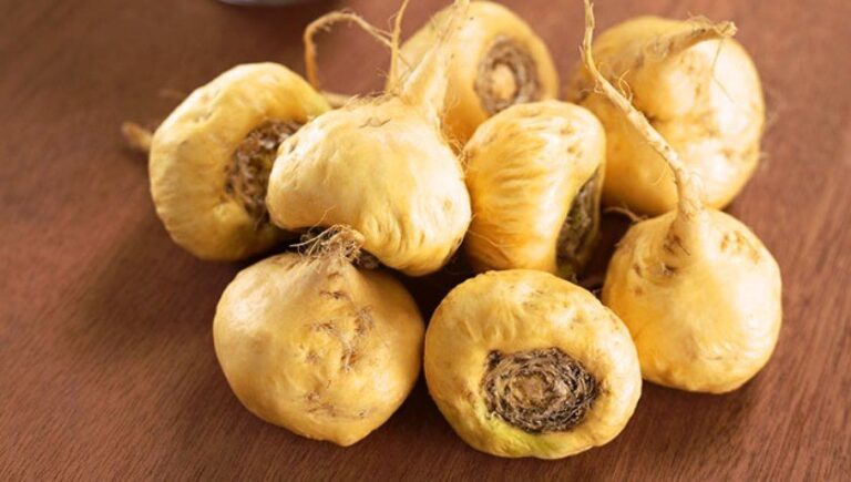 Maca For Sex - Testosterone, Premature Ejaculation, And Erectile Dysfunction